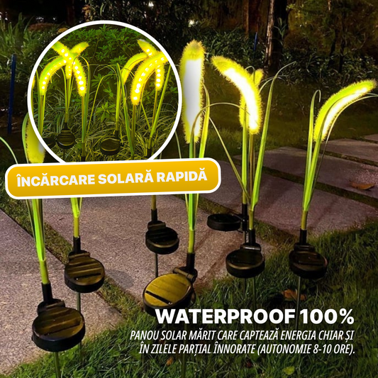 Set de 2 Lumini Solare Decorative pentru Grădină