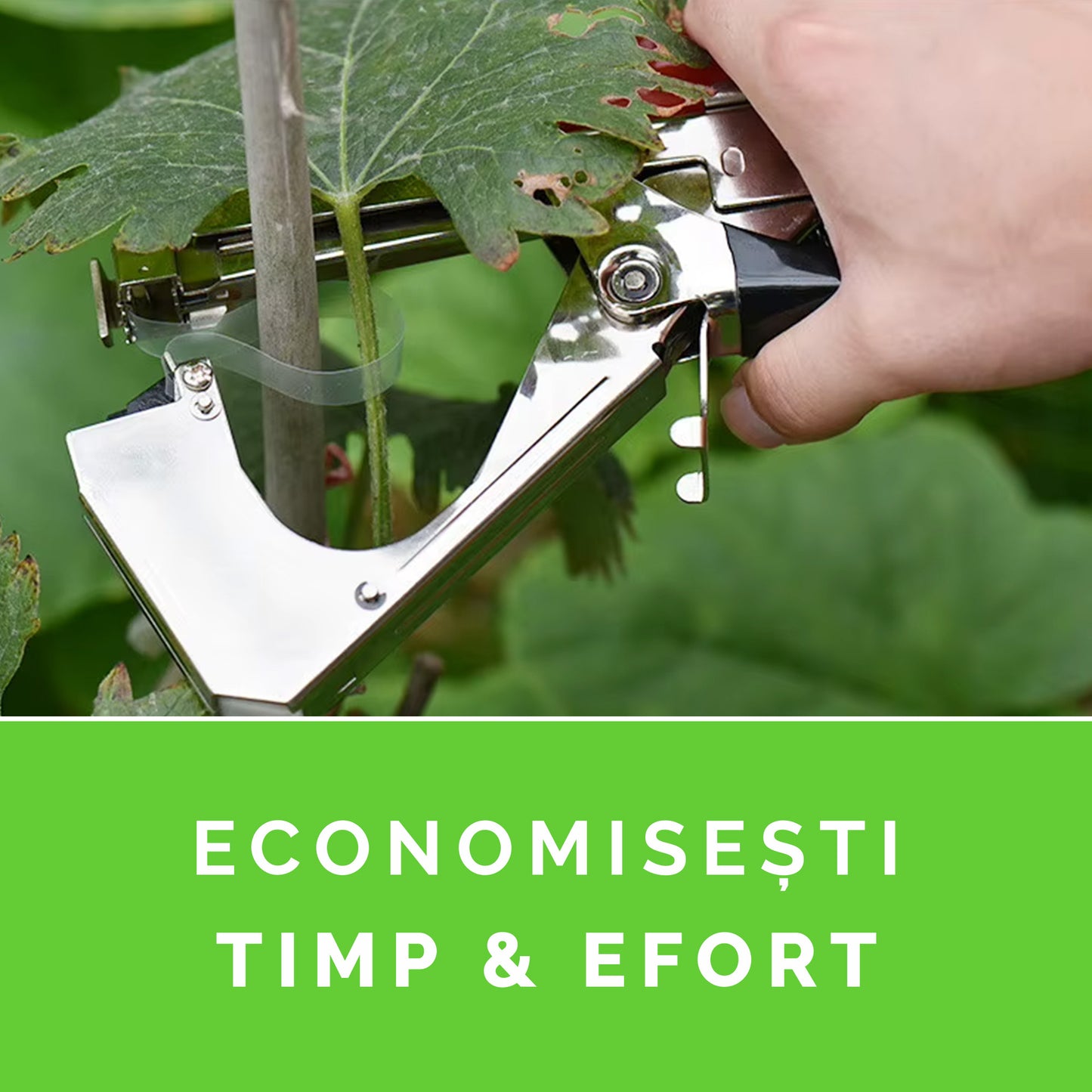 Aparat pentru Legat Pomi, Viță de Vie și Plante + 10 Role Cadou