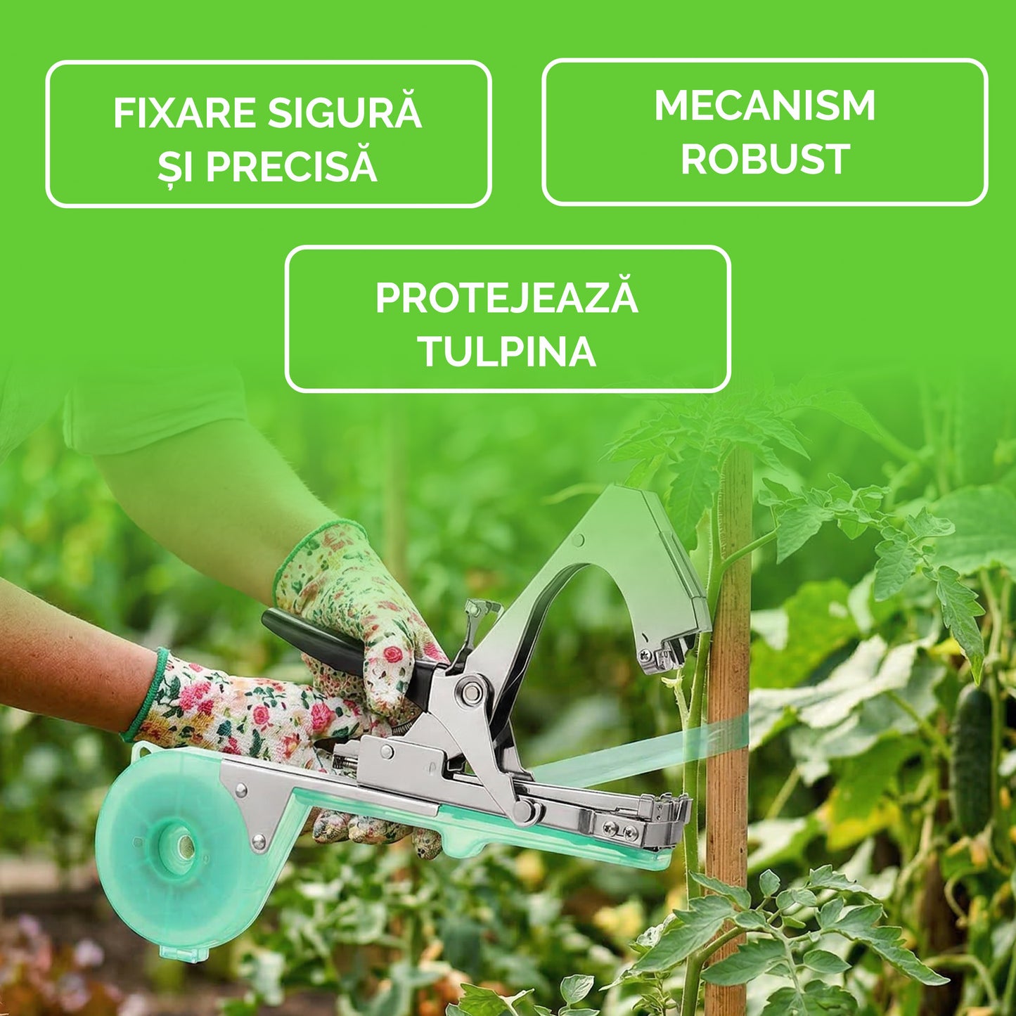 Aparat pentru Legat Pomi, Viță de Vie și Plante + 10 Role Cadou